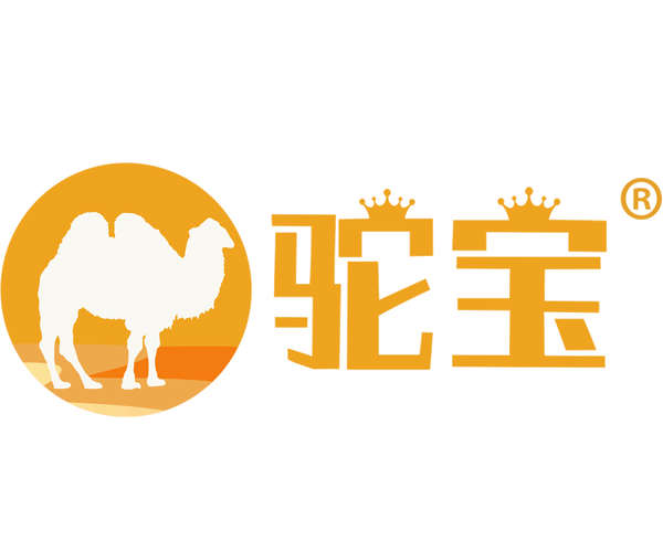 新疆沙漠驼宝品牌管理 策略、实践与未来展望